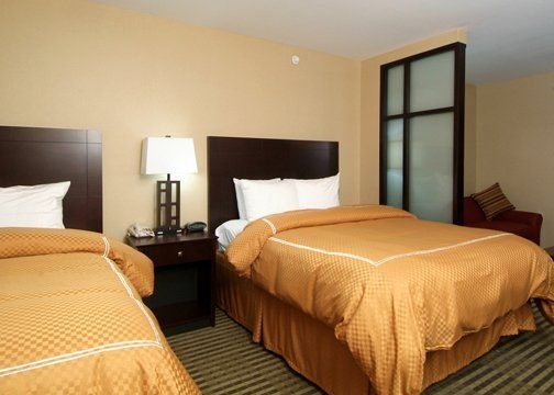 Holiday Inn Express & Suites Elkton - University Area, An Ihg Hotel Quarto foto